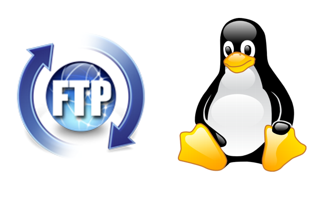 FTP Linux