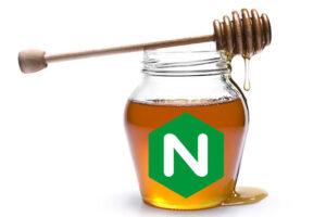 NGINX Honeypot